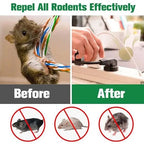 Insect Repellent Pills (Pack of 2)